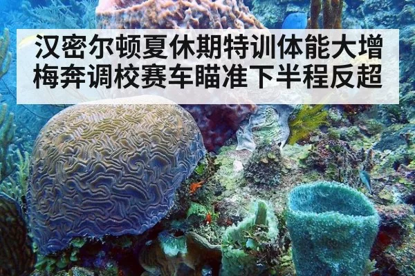 汉密尔顿夏休期特训体能大增 梅奔调校赛车瞄准下半程反超